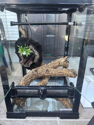 爬虫類　ゲージ