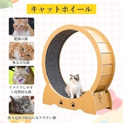【美品】キャットホイールの画像