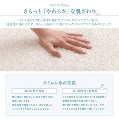 ひんやりラグマット　アイスグレーの画像