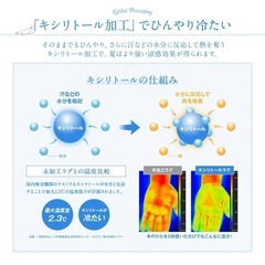 ひんやりラグマット　アイスグレーの画像