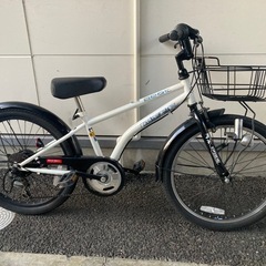 ドライドマウンテンバイクの画像