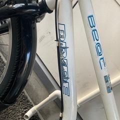 ドライドマウンテンバイクの画像