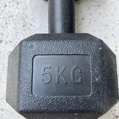 樹脂アレイ　5キロ　鉄アレイの画像