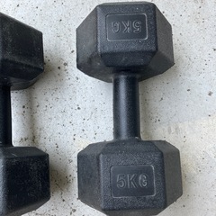樹脂アレイ　5キロ　鉄アレイの画像