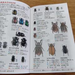 昆虫図鑑NEOPOCKETの画像