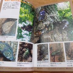 昆虫図鑑NEOPOCKETの画像