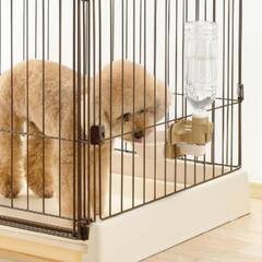 犬用給水器の画像