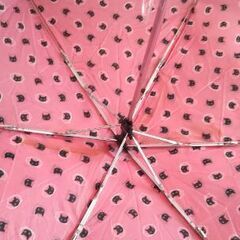 傘中古の画像