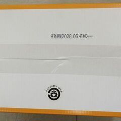 ☆トライアル 衣類に貼る カイロ ミニ 60枚入【未開封】の画像
