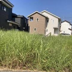 草刈お願いします
