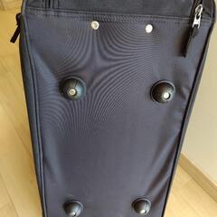 American Flyerのキャリーバッグの画像