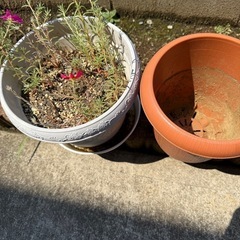 植木鉢プラスチック　の画像