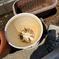 植木鉢プラスチック　の画像