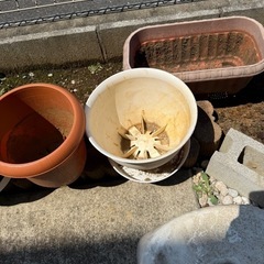 植木鉢プラスチック　の画像