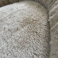 犬猫用 ベッドの画像