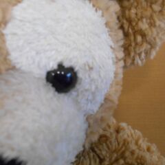 【激安　中古】ダッフィーのぬいぐるみの画像