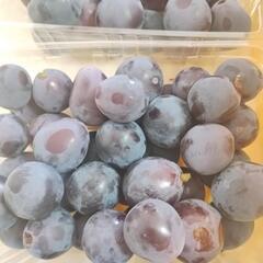 （お取引者決まりました）種無ピオーネ　粒　2.1kgの画像
