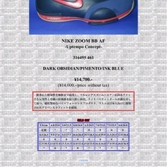 NIKE Zoom27.5cm の画像