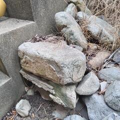 庭石の画像
