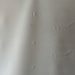 スクリーンの画像