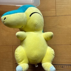 ヒノアラシの画像