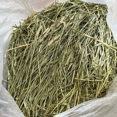 アメリカ産 プレミアム チモシー 1番刈り　7kg うさぎ 小動物 牧草の画像