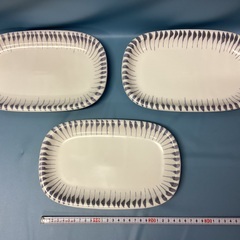 2508-21  楕円プレートの画像