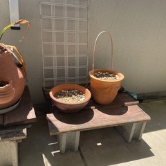 おしゃれな枕木の鉢植え台とおしゃれなテラコッタ鉢の画像