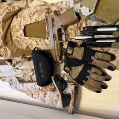 サバゲー引退セット　エアガン　hk416 シールチーム　AOR1　の画像