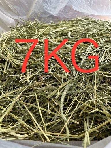 アメリカ産 プレミアム チモシー 1番刈り7kg うさぎ 小動物 牧草