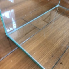 【お取引中】30cmキューブ水槽の画像