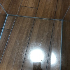 【お取引中】30cmキューブ水槽の画像