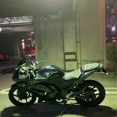 ninja 250rの画像