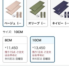 インフレーターマット厚さ10センチ2個セットの画像