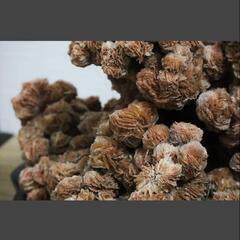 日本一★砂漠のバラ  砂漠の薔薇  パワーストーン  鉱物  鑑賞石  観賞石の画像