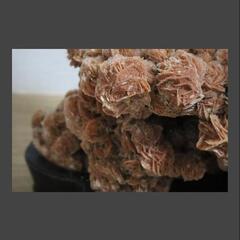 日本一★砂漠のバラ  砂漠の薔薇  パワーストーン  鉱物  鑑賞石  観賞石の画像