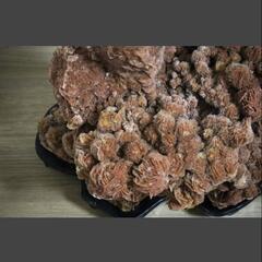 日本一★砂漠のバラ  砂漠の薔薇  パワーストーン  鉱物  鑑賞石  観賞石の画像