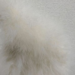 着物ファー　ショールの画像