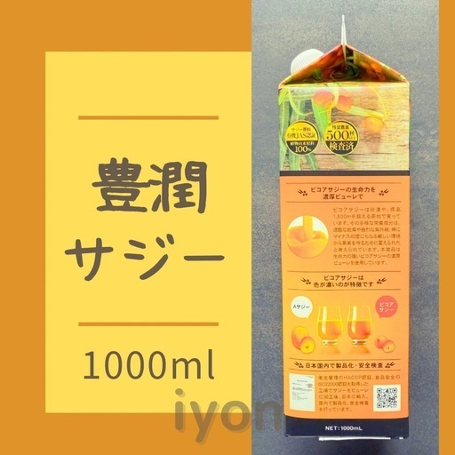 フィネス豊潤サジー1000ml 【賞味期限 26.2.2】 (iyon×) 美馬の