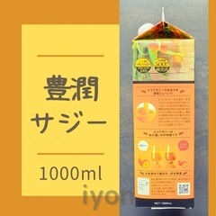 フィネス　豊潤サジー　1000ml  【賞味期限 26.2.2】の画像