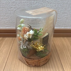 ガラスドーム ミニチュアアレンジメントの画像