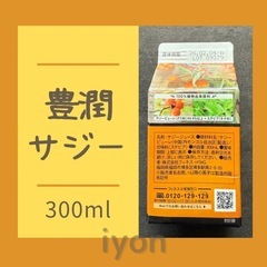 フィネス　豊潤サジー　300ml 【賞味期限 26.2.4】の画像