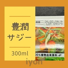 フィネス　豊潤サジー　300ml 【賞味期限 26.2.4】の画像