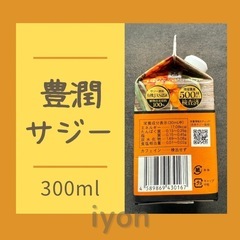 フィネス　豊潤サジー　300ml 【賞味期限 26.2.4】の画像