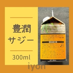 フィネス　豊潤サジー　300ml 【賞味期限 26.2.4】の画像