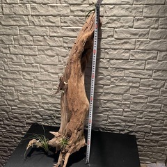 流木 アクアリウム 爬虫類 ハンドメイド No.4の画像