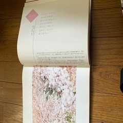 こころの歌の風景の画像