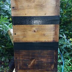日本蜜蜂　日本ミツバチ 巣箱入り　No２の画像
