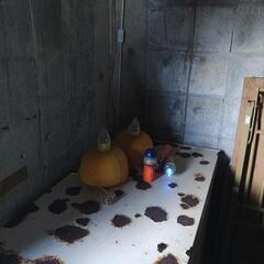 漁業ライトの画像