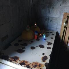 漁業ライトの画像